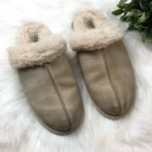 ugg scuffette oyster